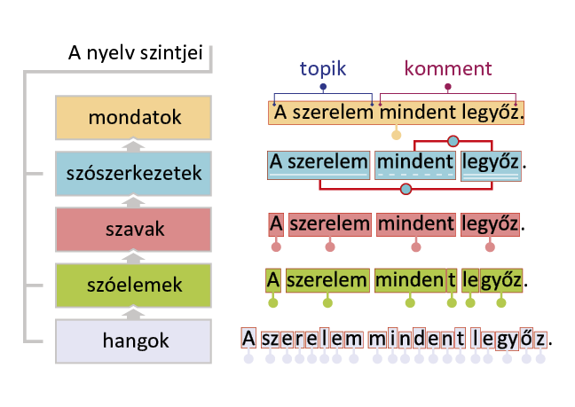 Okostankönyv